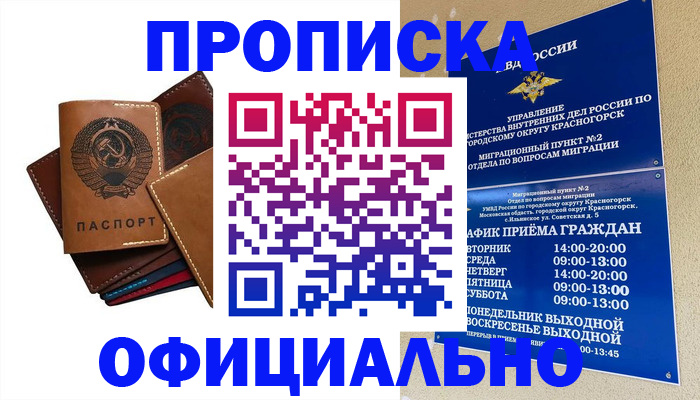 временная прописка в Наволоках